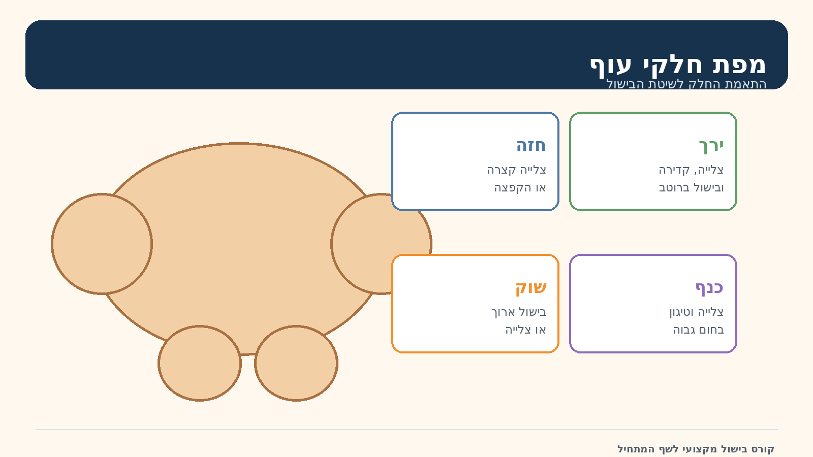 מפת חלקי עוף