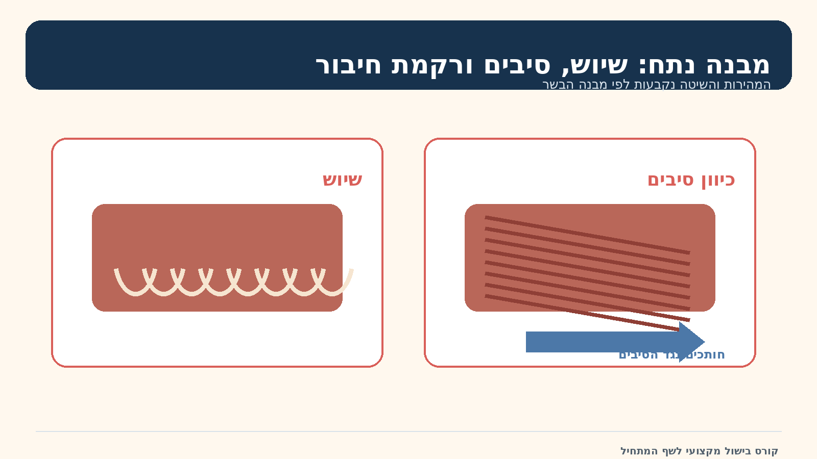 מבנה נתח: שיוש וסיבים